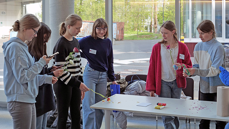 bild06-733x414 Girls' Day in den Nanowissenschaften