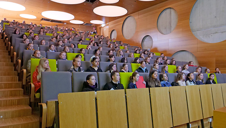 bild02-733x414 Girls' Day in den Nanowissenschaften