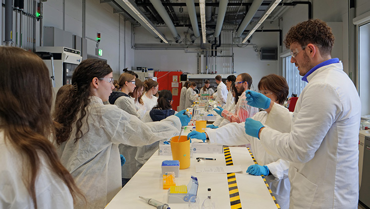 bild33-733x414 Girls' Day in den Nanowissenschaften