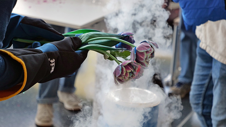 bild05-733x414 Girls' Day in den Nanowissenschaften