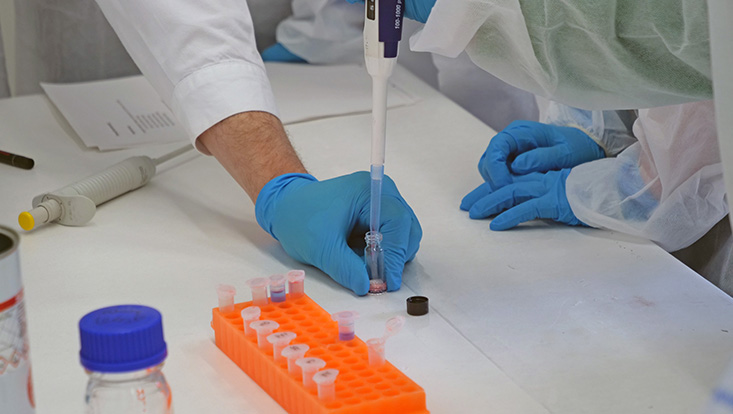 bild15-733x414 Girls' Day in den Nanowissenschaften