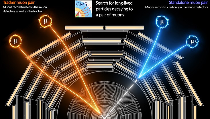 Illustration of two types of long-lived particles decaying into a pair of muons.