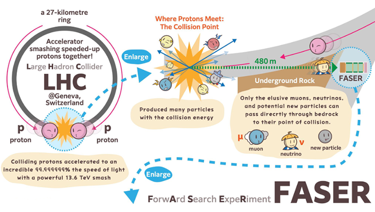 Infographics on the FASER experiment (excerpt)