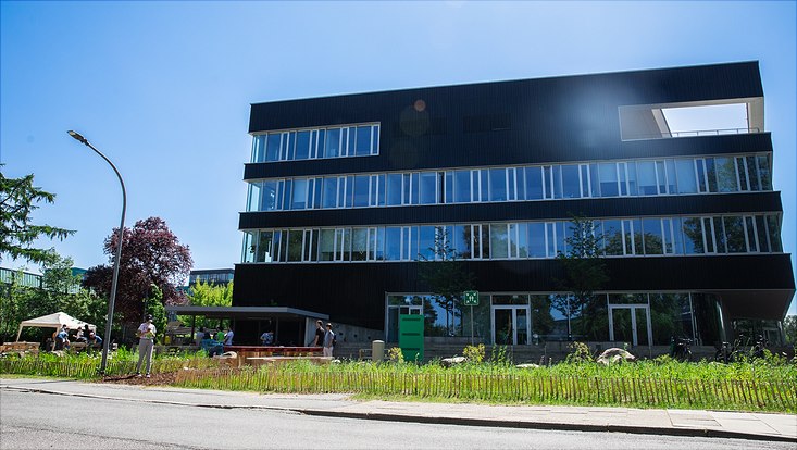 240516-palettenworkshop-schb-4208-733x414 Bild vom Palettenmöbelbauworkshop für die Science City Bahrenfeld