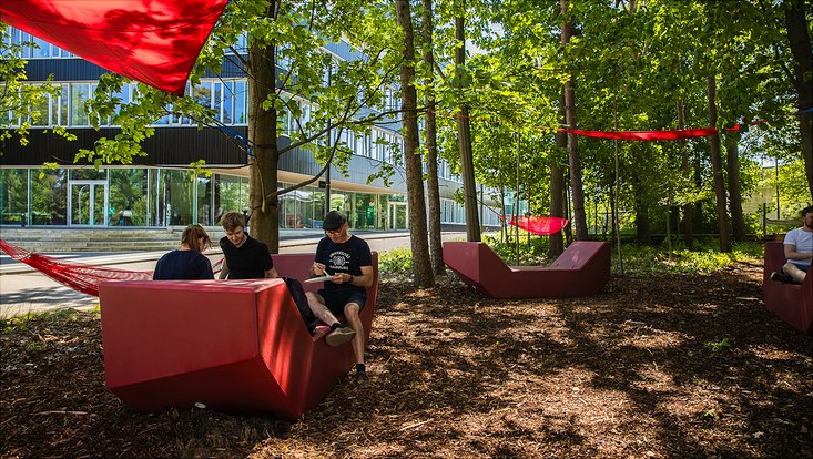 240516-palettenworkshop-schb-4354-733x414 Bild vom Palettenmöbelbauworkshop für die Science City Bahrenfeld