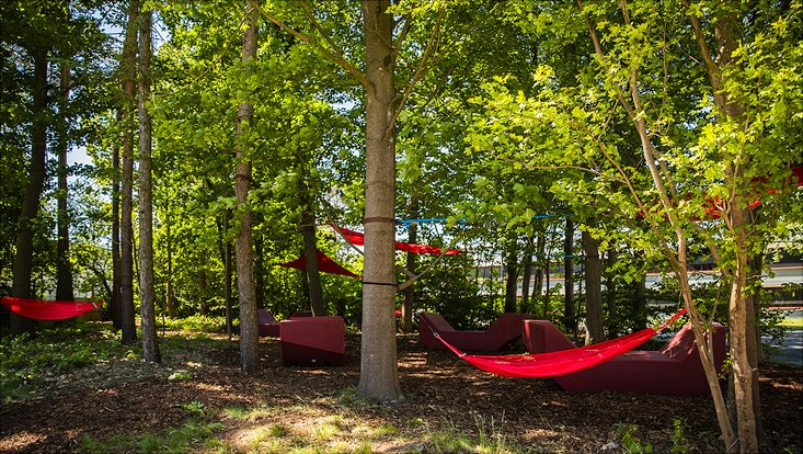 240516-palettenworkshop-schb-4296-733x414 Bild vom Palettenmöbelbauworkshop für die Science City Bahrenfeld