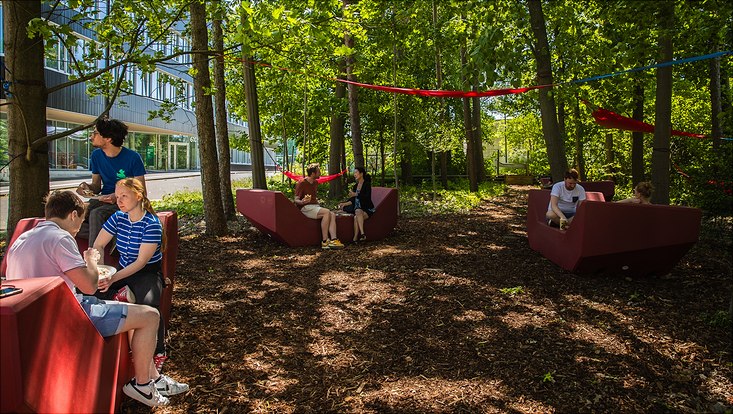 240516-palettenworkshop-schb-4398-733x414 Bild vom Palettenmöbelbauworkshop für die Science City Bahrenfeld