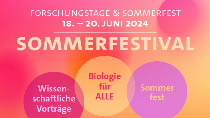 Sommerfestival