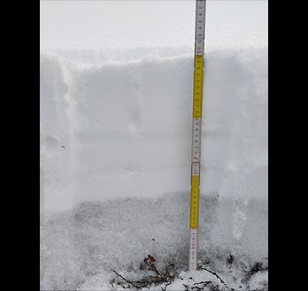 img-20240513-120740-348x329 profile of a 50cm thick snow cover consisting of different snow layers