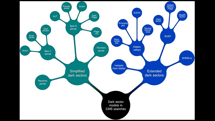 A map of the models probed in CMS searches for dark sectors.