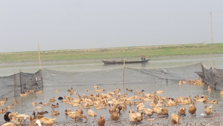 Wetlands in Bangladesh