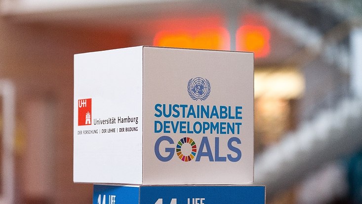 Imagebild Sustainable Development Goals