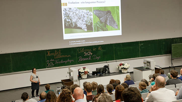 8 Impressionen Sommerfestival 2024