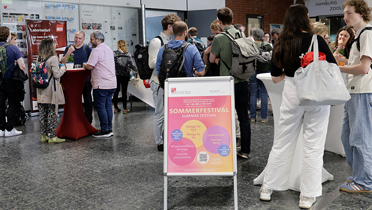 6 Impressionen Sommerfestival 2024