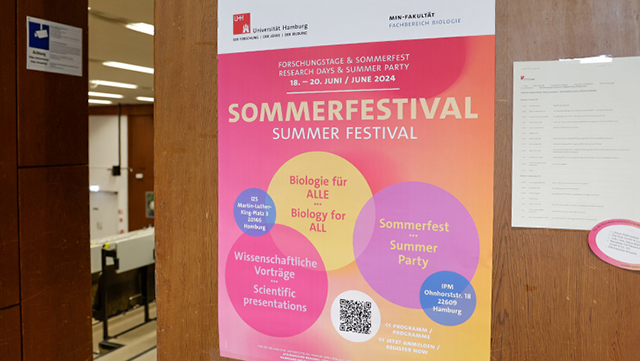 programm-640-361 Poster Sommerfestival 2024