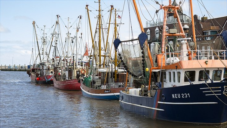 Fischerboote im Hafen