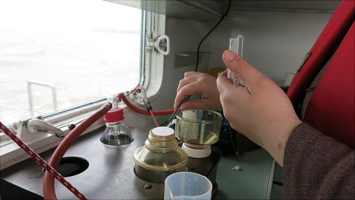 ICSS Students on expedition on river Elbe