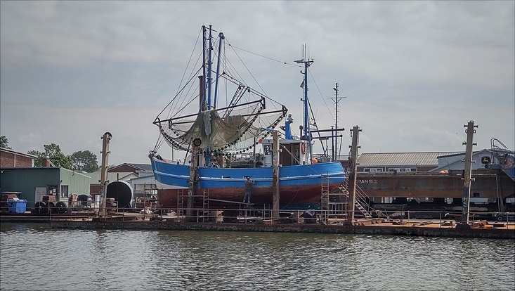 alef-bild6-733x414 Kutter am Dock bei Büsum