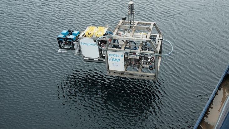 ofobs-yentin-733x414 OFOBS