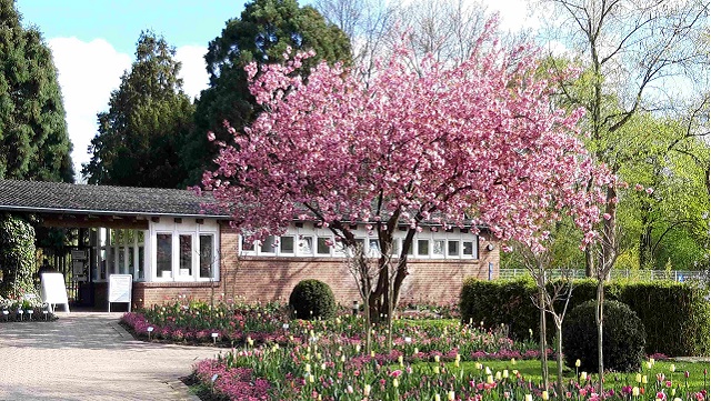 Abbildung des Eingangs des Loki Schmidt Gartens