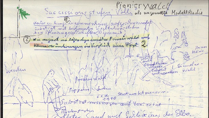 nana-bild2-733x414 Nana Petzet, Überlegungen zum Vollhöfner Wald
