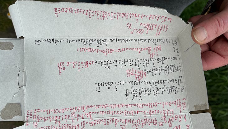 nana-bild5-733x414 Ergebnisse der Pflanzenkartierung der vier Spülflächen des Vollhöfner Waldes durch Andromeda v. Pronzinski