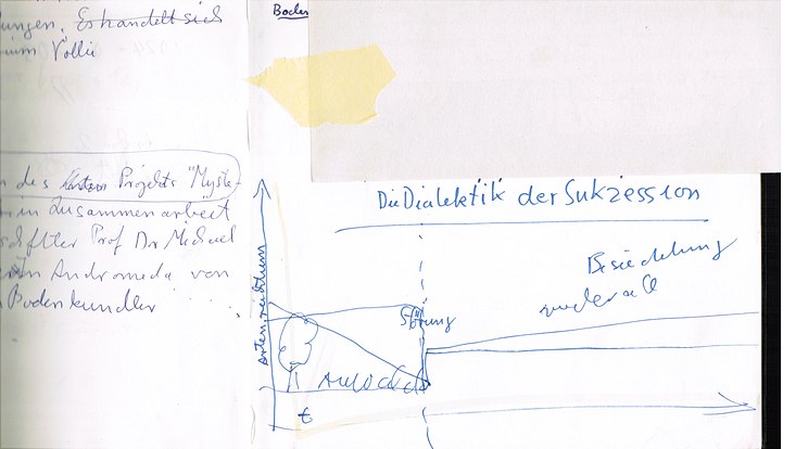 nana-bild6-733x414 Nana Petzet, Gesprächsnotitz bei Treffen mit Michael Köhl