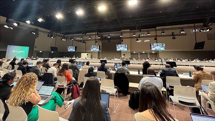 carl-bild6-733x414 COP28 Just Transition Negotiations