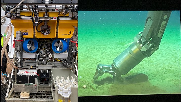 rov-melanie-bergmann-733x414 ROV im Einsatz