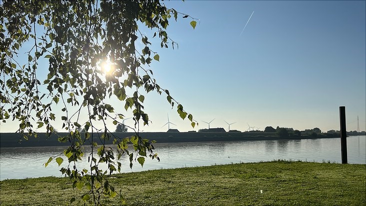 Blick über die Elbe.