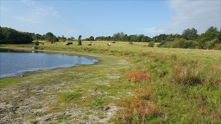 bueltsee2-733x414 Bültsee