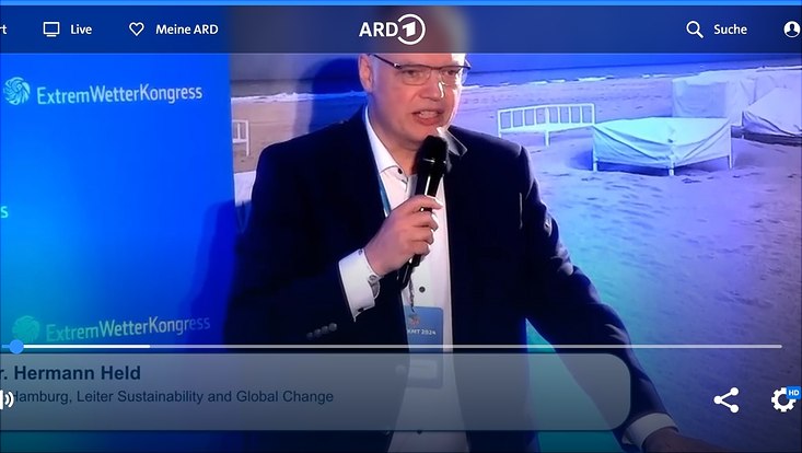 Prof. Dr. Hermann Held giving a presentation