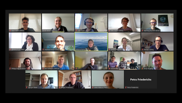 Screenshot of participants in online meeting
