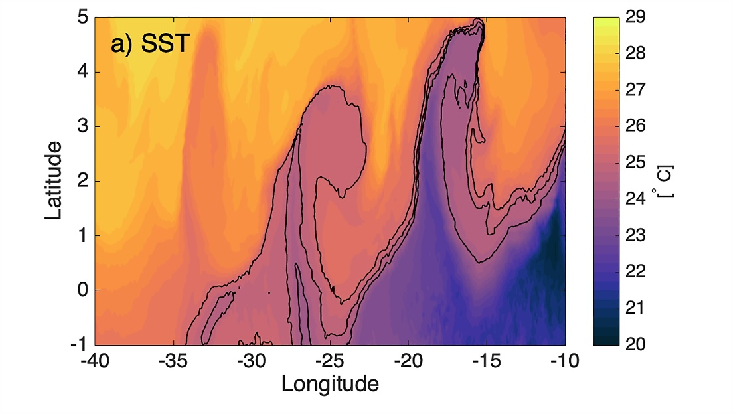 Snapshot of a simulated TIWs on 1 August 2020 showing SST in °C
