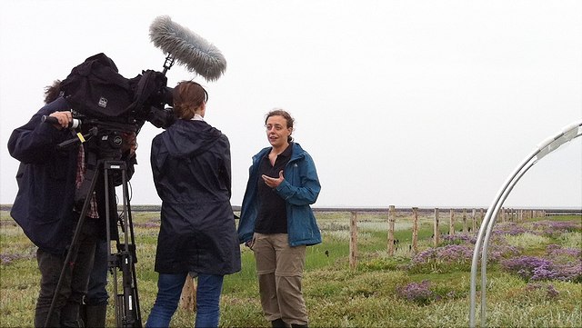 nolte-fernsehinterview-hallig-nicolai-640x361 Dr. Stefanie Nolte gibt ein Fernsehinterview beim Erwährmungsexperiment auf der Hamburger Hallig.