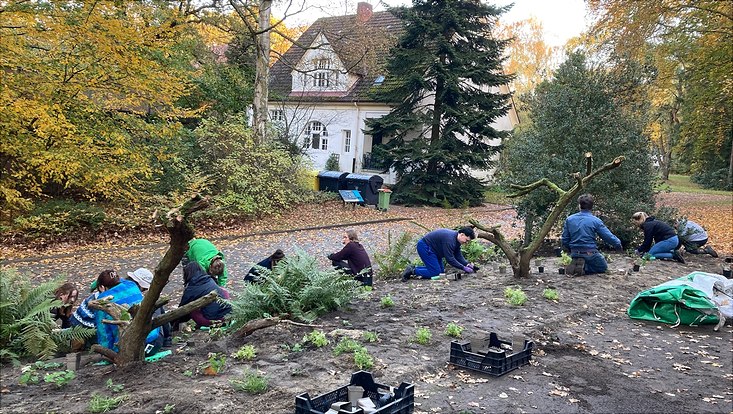 Studierende pflanzen neue Wildstauden
