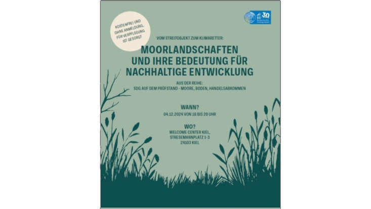 Flyer Podiumsdiskussion "Moorlandschaften"
