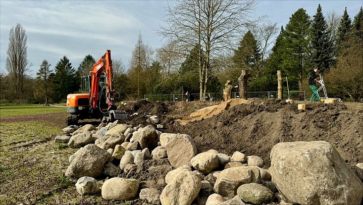 EIn Bagger im Loki-Schmidt-Garten macht Vorbereitungsarbeiten für das Sandarium