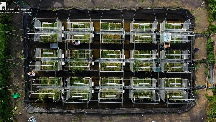 Drohnebild vom Nordsalt-Experiment