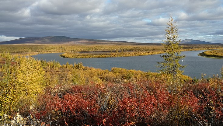 Landscape shot from the Arctic tundra, showing a river meandering through a wide, flat plain. Bushes and individual trees are visible in red and yellow in the foreground. The background shows grassy plains and rolling hills under a sky with partly de