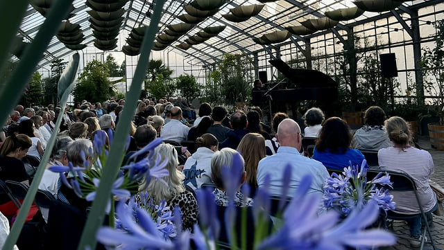 faeden2025_640x361 Der Pianist Thomas Lambrich sitzt an seinem Flügel im Gewächshaus1 des Loki-Schmidt-Gartens, im Vordergrund das Publikum und grüne Pflanzen