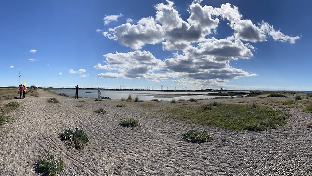 themen-teaser-lex2022-640