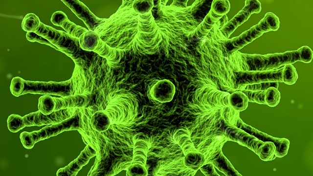 Virus