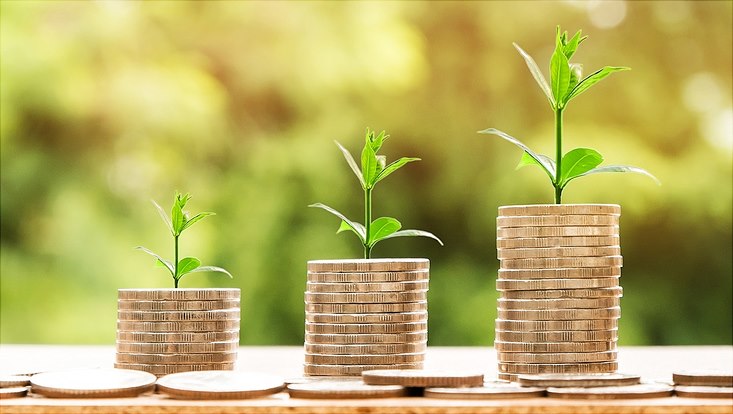 A stack of coins with a small green plant growing on top.