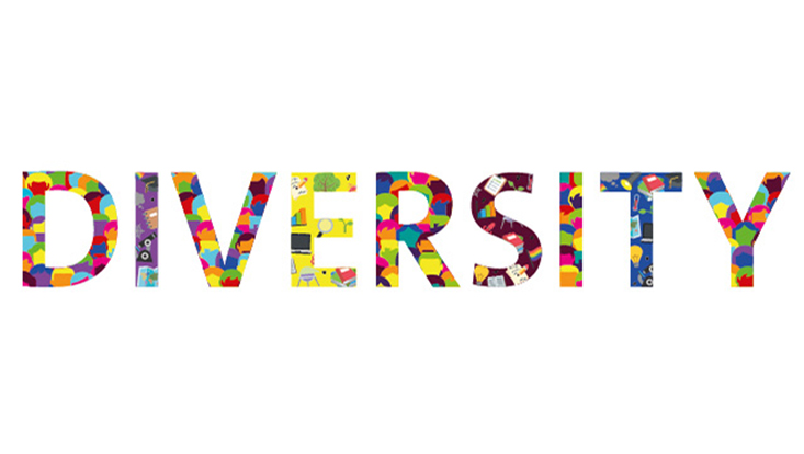 Diversity Schriftzug