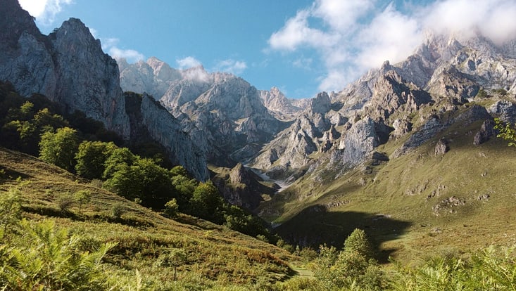 A green meadow lies infront of a mountain range.
