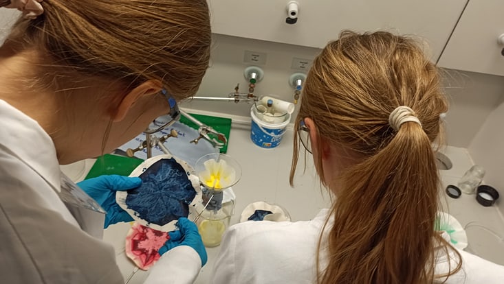 img-20250313-144755-733x414 Man schaut zwei Schülerinnen im Chemielabor über die Schulter die blaue und rote Pigmente vom Filterpapier abkratzen.