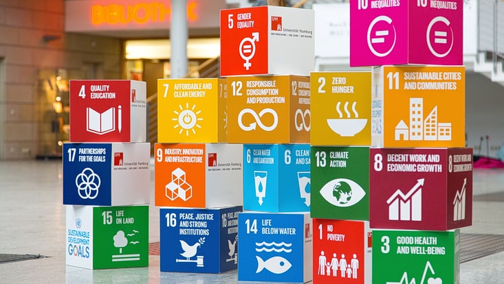 Different bricks with the Sustainable Development Goals are presented.