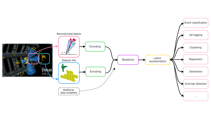 flow chart explaining a foundation model applied to data from a detector