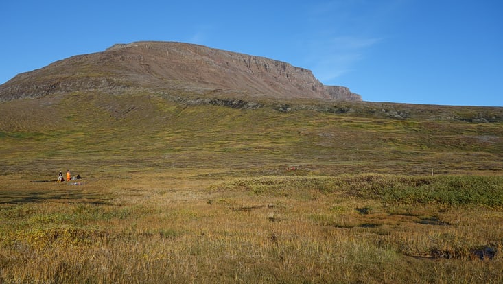 Scientists are conducting field work in an open area.
